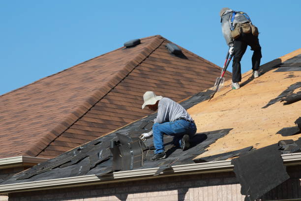 Best Roof Insulation Installation  in USA